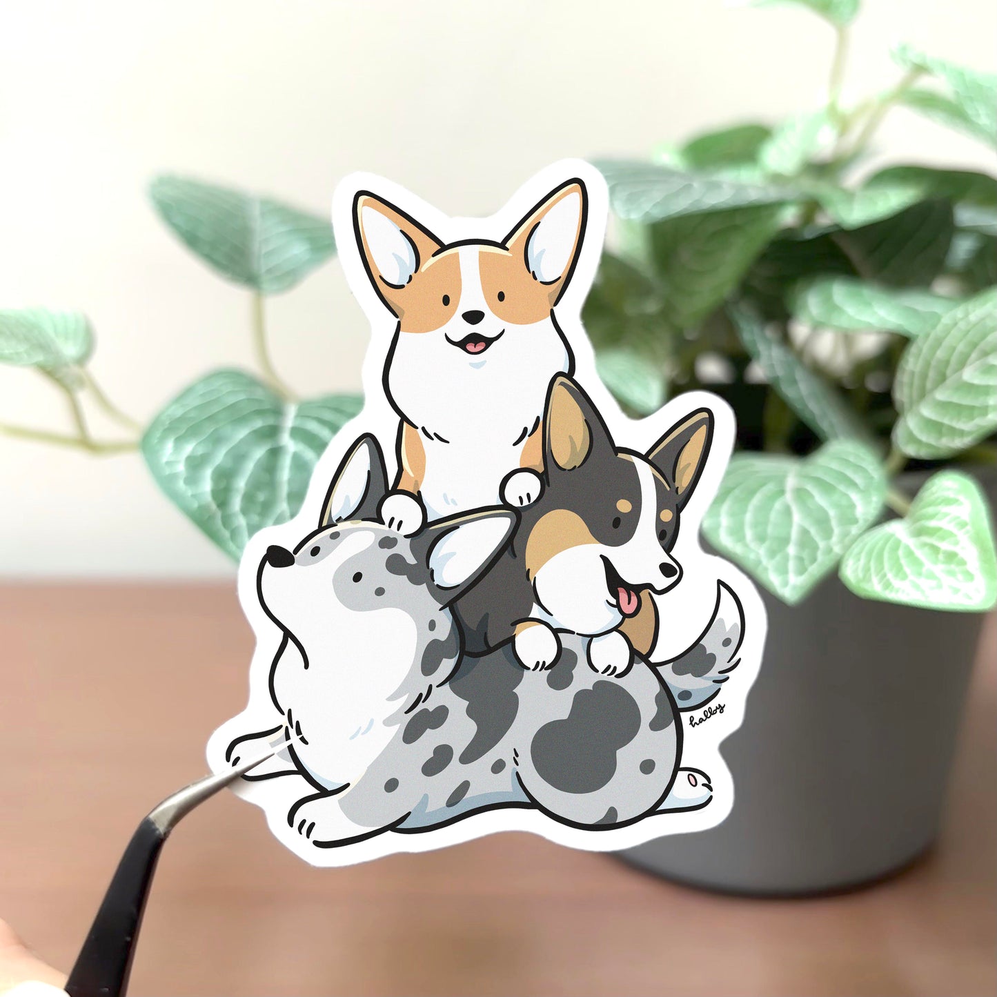 Sticker of 3 corgi dogs stacked on top of each other