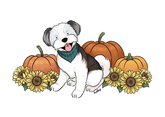 Custom Pet Illustrations - How to Order